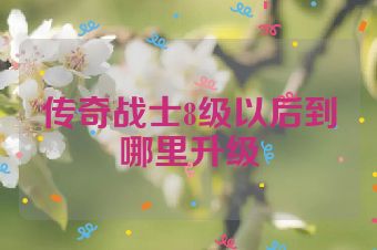 传奇战士8级以后到哪里升级