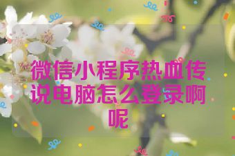 微信小程序热血传说电脑怎么登录啊呢