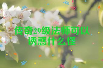 传奇29级法师可以诱惑什么怪