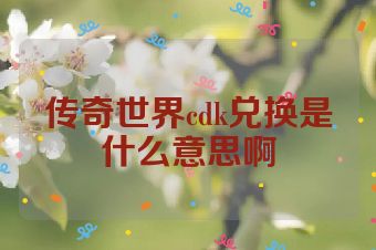 传奇世界cdk兑换是什么意思啊