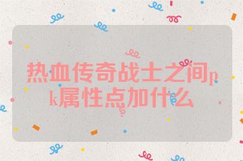 热血传奇战士之间pk属性点加什么