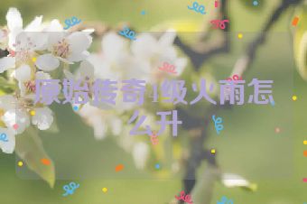 原始传奇4级火雨怎么升