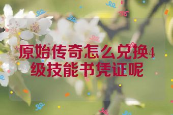 原始传奇怎么兑换4级技能书凭证呢