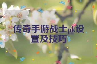 传奇手游战士pk设置及技巧