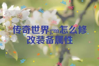 传奇世界gm怎么修改装备属性