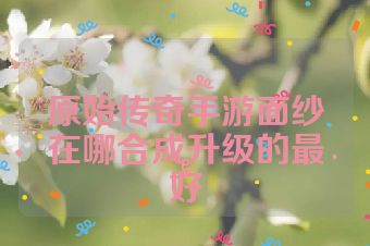 原始传奇手游面纱在哪合成升级的最好