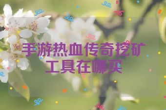 手游热血传奇挖矿工具在哪买