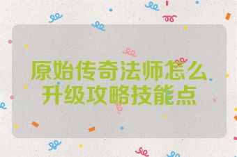 原始传奇法师怎么升级攻略技能点