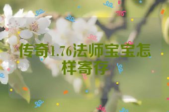 传奇1.76法师宝宝怎样寄存