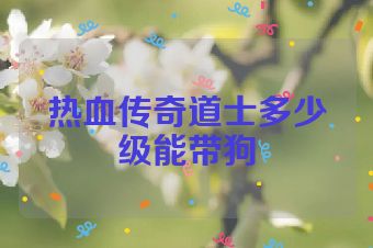 热血传奇道士多少级能带狗