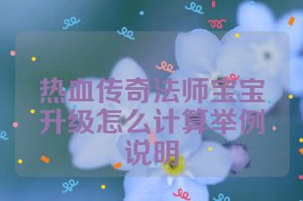 热血传奇法师宝宝升级怎么计算举例说明