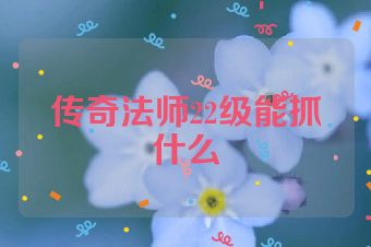 传奇法师22级能抓什么