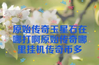 原始传奇玉星石在哪打啊原始传奇哪里挂机传奇币多