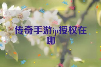 传奇手游ip授权在哪