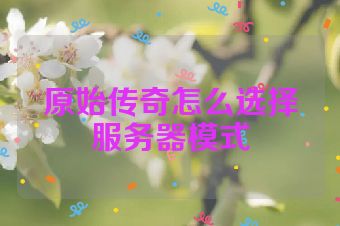 原始传奇怎么选择服务器模式