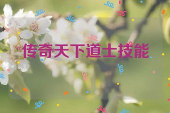 传奇天下道士技能