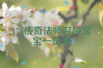 176传奇法师召唤宝宝一览表