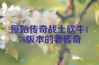 原始传奇战士砍牛176版本的老传奇
