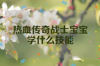 热血传奇战士宝宝学什么技能