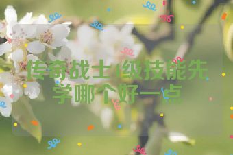 传奇战士4级技能先学哪个好一点