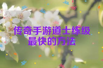 传奇手游道士练级最快的方法