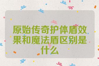 原始传奇护体盾效果和魔法盾区别是什么