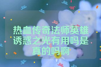 热血传奇法师英雄诱惑之光有用吗是真的吗啊