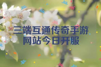 三端互通传奇手游网站今日开服