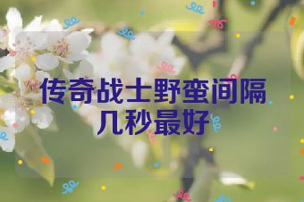 传奇战士野蛮间隔几秒最好
