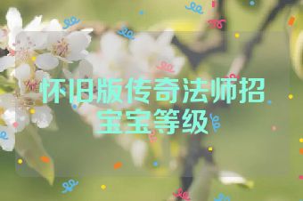 怀旧版传奇法师招宝宝等级