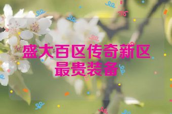 盛大百区传奇新区最贵装备