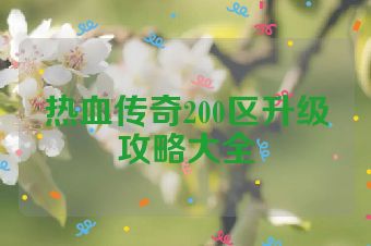 热血传奇200区升级攻略大全