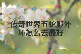 传奇世界五蛇殿外环怎么去最好