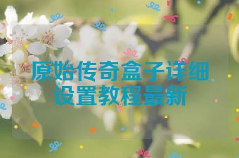 原始传奇盒子详细设置教程最新