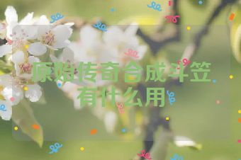 原始传奇合成斗笠有什么用
