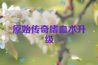 原始传奇嗜血术升级