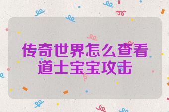传奇世界怎么查看道士宝宝攻击