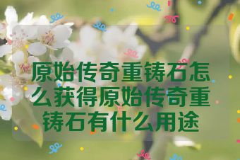 原始传奇重铸石怎么获得原始传奇重铸石有什么用途