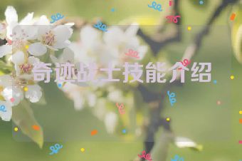 奇迹战士技能介绍