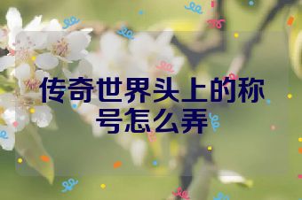 传奇世界头上的称号怎么弄