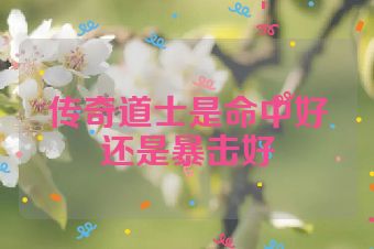 传奇道士是命中好还是暴击好
