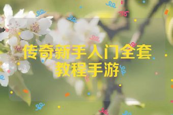 传奇新手入门全套教程手游