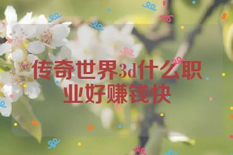 传奇世界3d什么职业好赚钱快