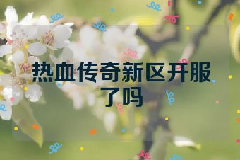 热血传奇新区开服了吗