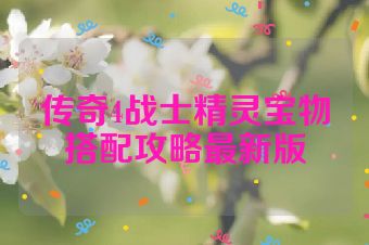 传奇4战士精灵宝物搭配攻略最新版
