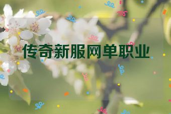 传奇新服网单职业