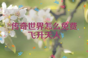 传奇世界怎么免费飞升天人