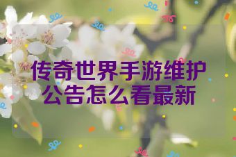 传奇世界手游维护公告怎么看最新