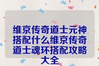 维京传奇道士元神搭配什么维京传奇道士魂环搭配攻略大全