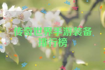 传奇世界手游装备排行榜